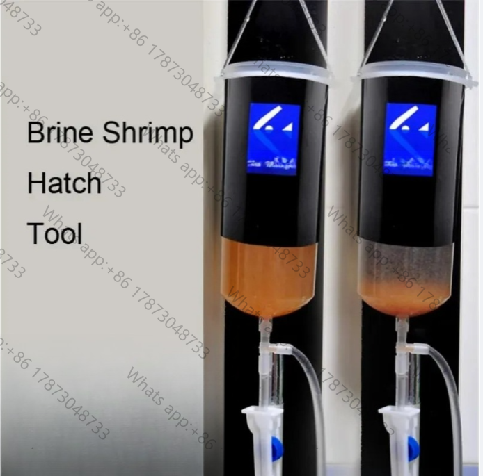 Baby Food Shrimp - Telur udang peri artemia hidup mudah