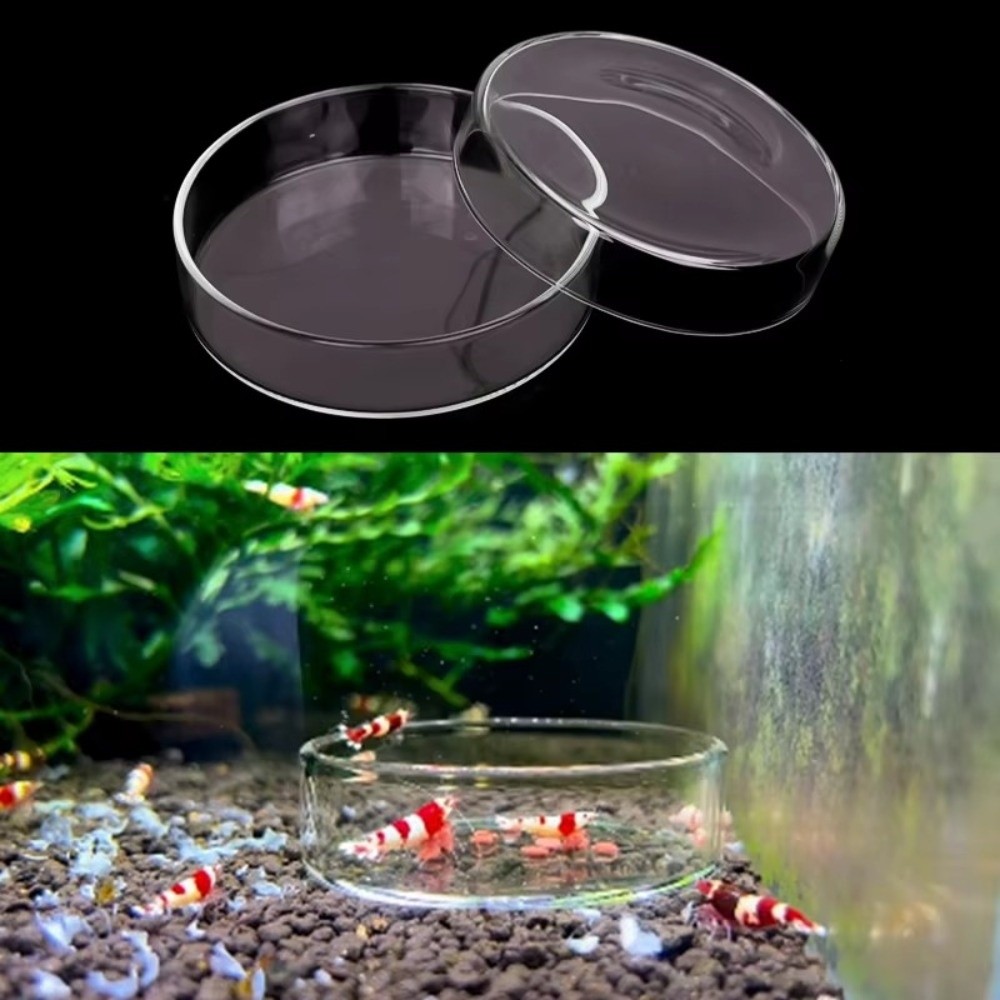 Baby Food Shrimp - Mangkuk Makan Akuarium Kaca Tahan Lama,