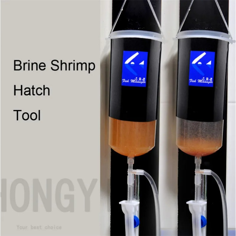 Peri Udang Telur Artemia Hidup - Baby Food Shrimp ulasan dan harga