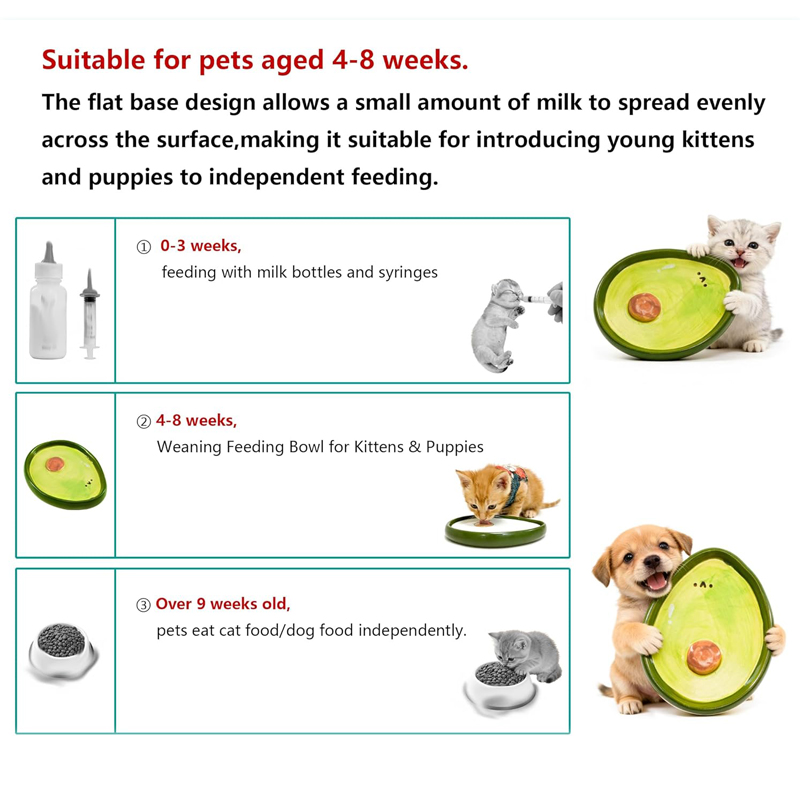 Mangkuk Kucing untuk Anak Kuci - Baby Food Kitten ulasan dan harga
