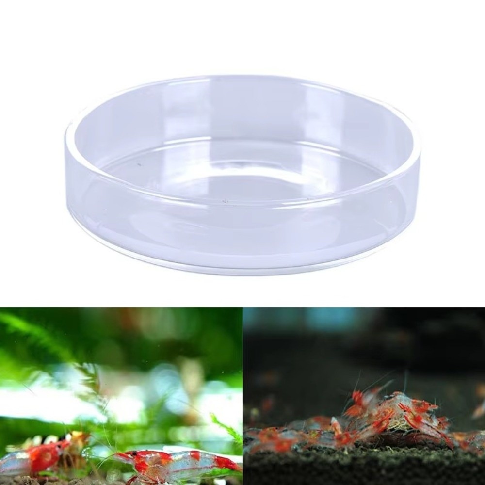 Mangkuk Makan Akuarium Kaca Ta - Baby Food Shrimp ulasan dan harga